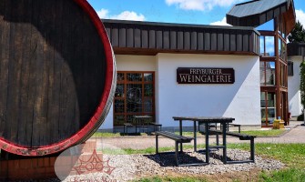 Beginning of summer offers